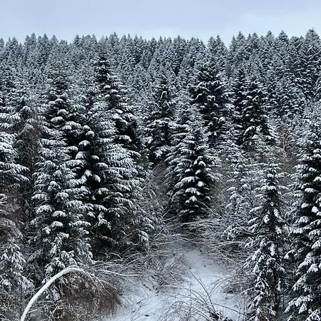 Belvedere-karpaty-panorama Konukevi 4*