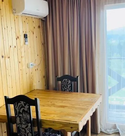 Belvedere-karpaty-panorama 4* Skhidnytsia