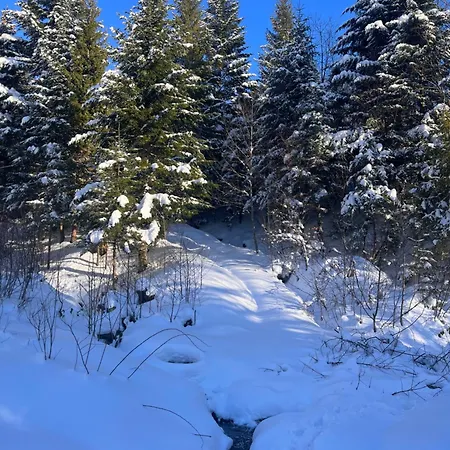 Konukevi Belvedere-karpaty-panorama Skhidnytsia