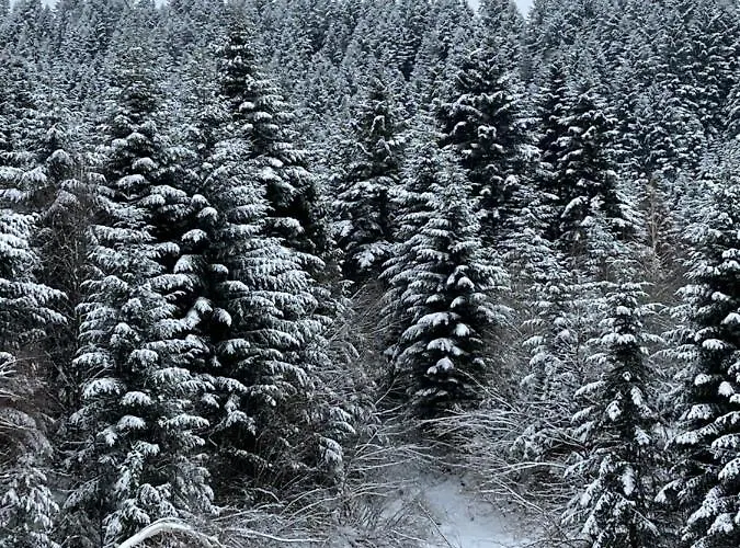 Belvedere-karpaty-panorama Konukevi 4*