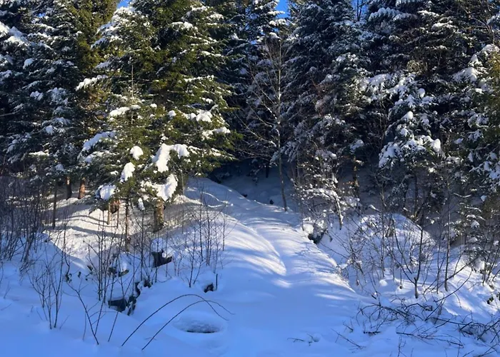 Konukevi Belvedere-karpaty-panorama Skhidnytsia